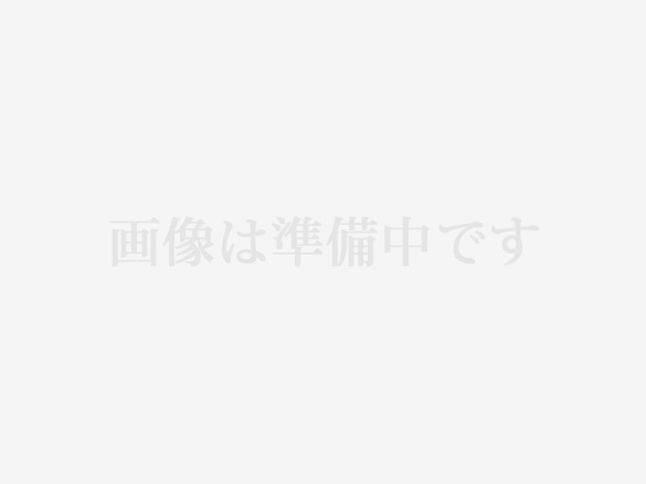画像は準備中です