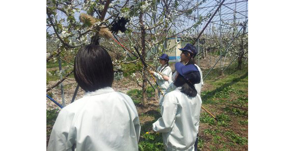 園芸科学科の女子 園芸科学科の女子