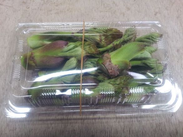 タラの芽100gパック タラの芽100gパック